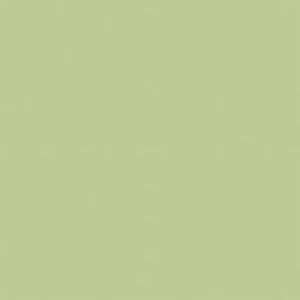 SANDERSON PAINT CHATHAM GREEN  62